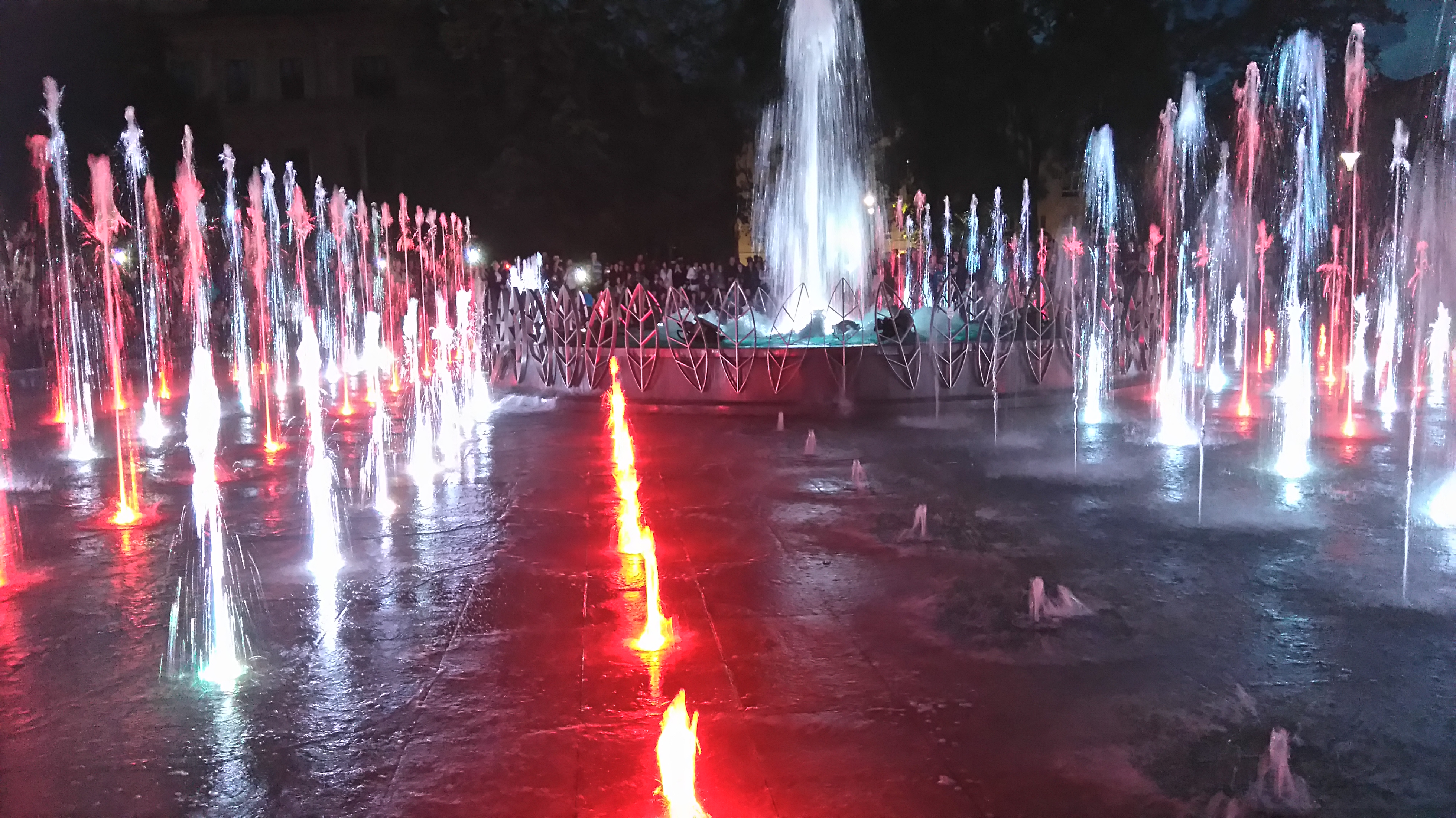 Lubelska fontanna nocą
