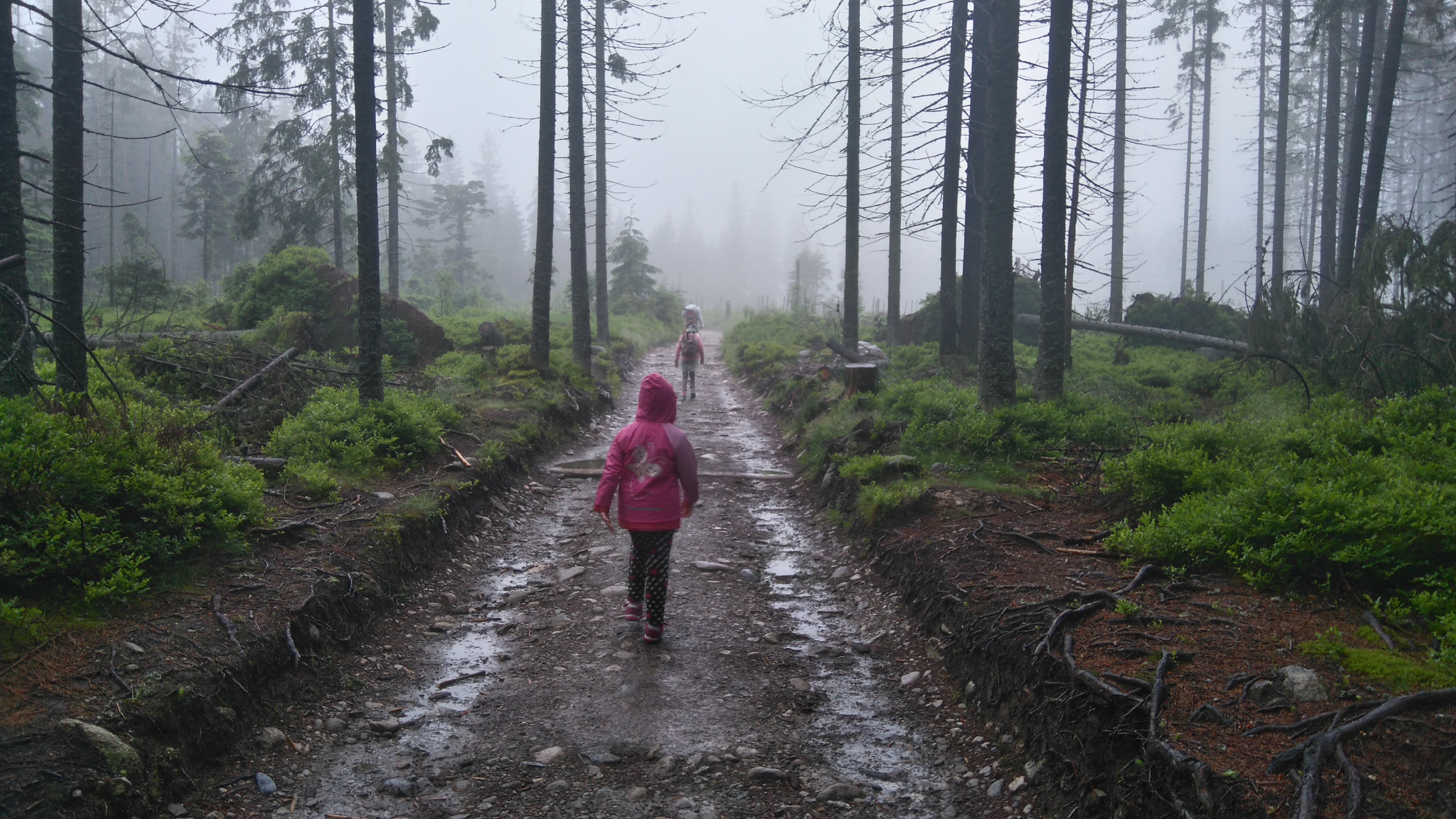 Dzieci wędrują szlakiem na Rusinową Polanę w czasie deszczu